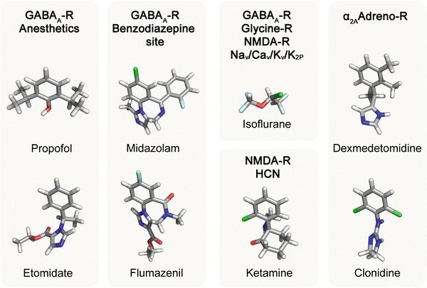 هوشبر های وریدی در بیهوشی اطفال