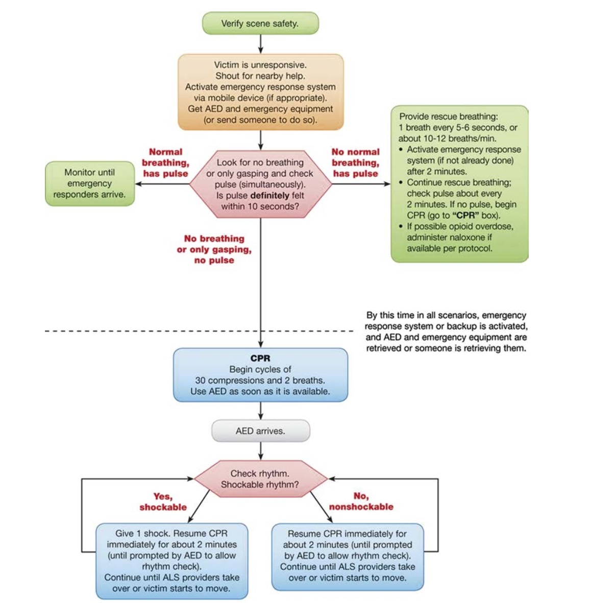 احیای قلبی ریوی
